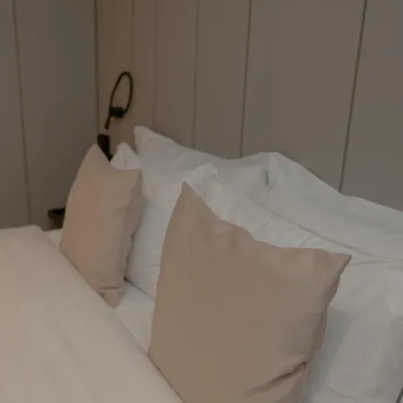Central Inn Hotel 4* 地拉那
