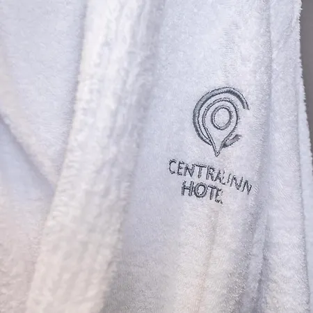 Central Inn Hotel 4* 地拉那