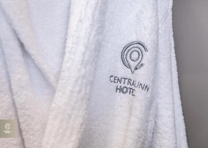 Central Inn Hotel 4* 地拉那