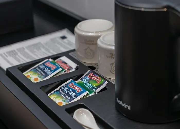 酒店 Central Inn Hotel 4*